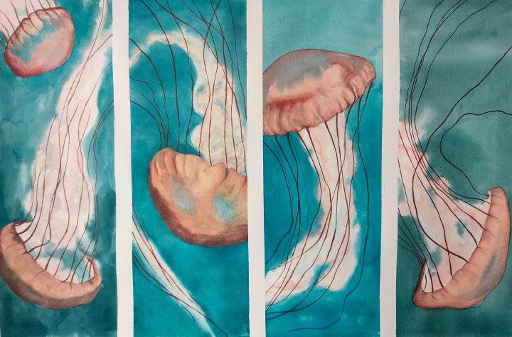 four panels of a jellyfish floating in a dark turquoise sea